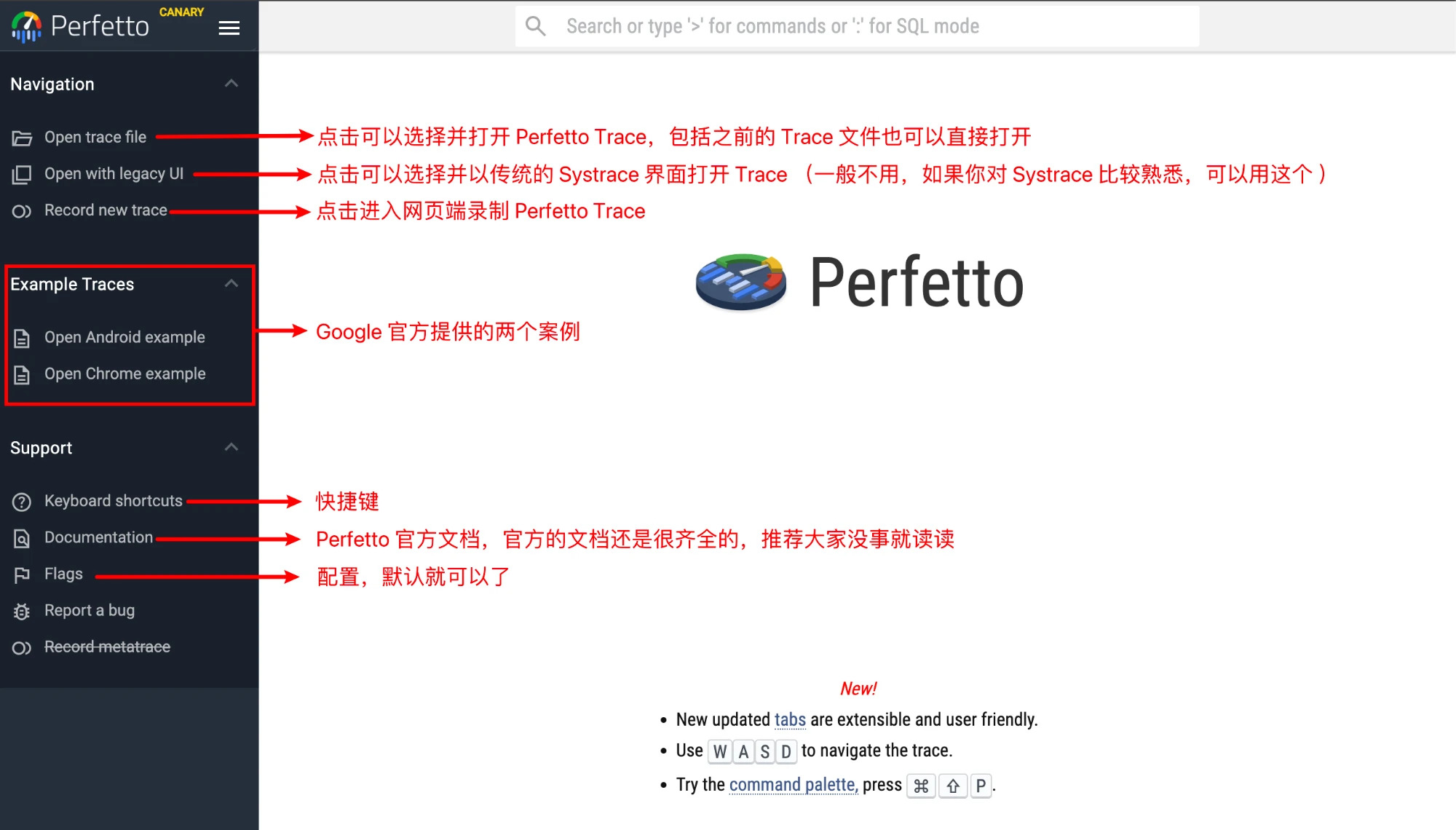 Perfetto View Interface